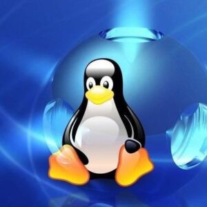 Linux Installationen PC/Laptop + Support & Anleitung