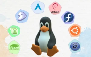 Welches Linux Betriebssystem?