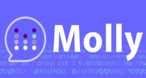 MollySocket Server