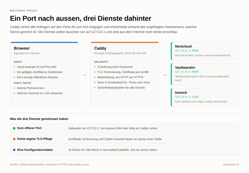 Schema eines Reverse Proxy: Links der Browser im Internet, der nur cloud.example.ch auf Port 443 und ein gültiges Zertifikat sieht, aber keine internen Portnummern. In der Mitte Caddy als einziger Einstiegspunkt auf den Ports 80 und 443, der nach Hostname zuordnet, TLS terminiert, von HTTP auf HTTPS weiterleitet und die X-Forwarded-Header setzt. Rechts die drei Dienste Nextcloud auf 127.0.0.1:8080, Vaultwarden auf 127.0.0.1:8000 und Immich auf 127.0.0.1:2283, die alle keinen offenen Port nach aussen haben, keine eigene TLS-Pflege benötigen und je einen Site-Block in einer einzigen Konfigurationsdatei belegen.