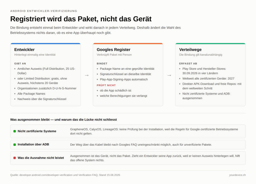 Schaubild in drei Karten: Der Entwickler hinterlegt einmalig eine Identität mit amtlichem Ausweis oder als Limited Distribution Account für höchstens 20 Geräte, dazu alle Package Names und den Nachweis über die Signaturschlüssel. Googles Register bindet Package Name und Signaturschlüssel an diese Identität, prüft aber nicht, ob die App schädlich ist. Die Bindung wirkt danach in jedem Verteilweg. Darunter drei Zeilen zu den Ausnahmen: nicht zertifizierte Systeme wie GrapheneOS und die Installation über ADB bleiben frei, doch ausgenommen ist das Gerät und nicht das Paket.