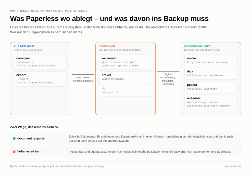 Topologie in drei Zonen. Links die Ordner auf dem Host, consume und export, mit ihren Pfaden im Container. In der Mitte die drei Dienste der Compose-Datei: webserver auf Port 8000, broker mit valkey:9-alpine und db mit postgres:18. Rechts die Docker-Volumes media, data, pgdata und redisdata. Die Aussage: Das Archiv liegt in den Volumes rechts, nicht im Eingangsordner links; gesichert werden müssen media, data und pgdata, entweder über den document_exporter oder über die Volumes selbst.
