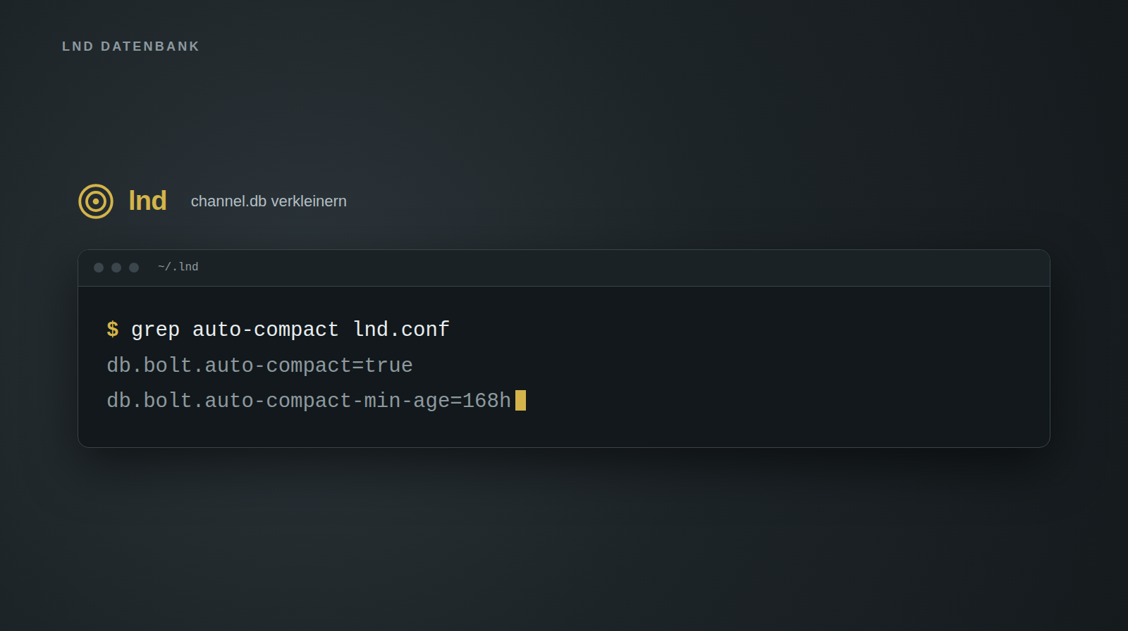 Terminalfenster mit dem Befehl grep auto-compact lnd.conf und den beiden Konfigurationszeilen db.bolt.auto-compact=true und db.bolt.auto-compact-min-age=168h