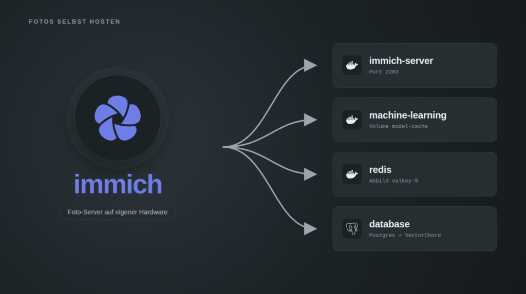Titelbild auf dunklem Grund: links das Immich-Logo in einem Kreis, darunter der Schriftzug immich und die Zeile "Foto-Server auf eigener Hardware". Von dort führen vier Pfeile nach rechts auf vier Karten mit den Docker-Diensten: immich-server mit Port 2283, machine-learning mit dem Volume model-cache, redis mit dem Abbild valkey:9 und database mit Postgres und VectorChord.