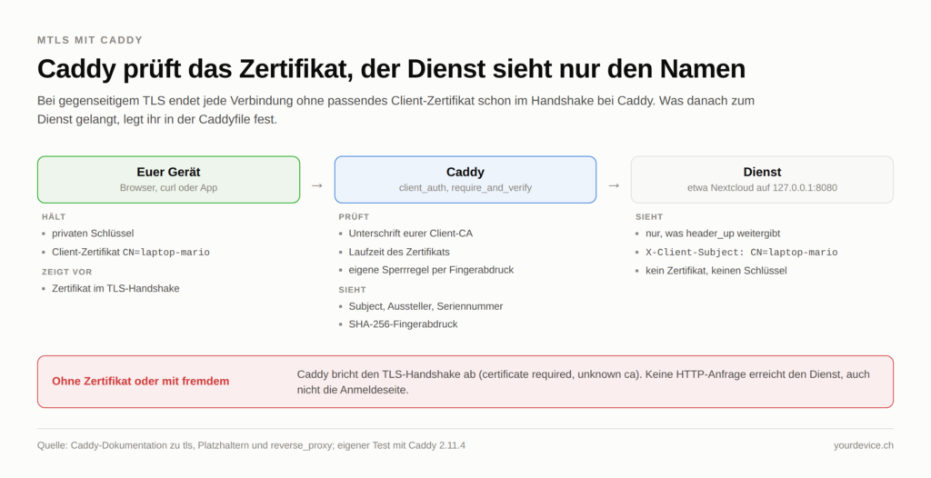 Schaubild "Caddy prüft das Zertifikat, der Dienst sieht nur den Namen" mit drei Stationen von links nach rechts. Euer Gerät hält den privaten Schlüssel und das Client-Zertifikat CN=laptop-mario und zeigt das Zertifikat im TLS-Handshake vor. Caddy mit client_auth im Modus require_and_verify prüft die Unterschrift der eigenen Client-CA, die Laufzeit und eine eigene Sperrregel per Fingerabdruck und sieht Subject, Aussteller, Seriennummer und SHA-256-Fingerabdruck. Der Dienst, etwa Nextcloud auf 127.0.0.1:8080, sieht nur, was header_up weitergibt, zum Beispiel X-Client-Subject: CN=laptop-mario, aber weder Zertifikat noch Schlüssel. Ein roter Kasten darunter: Ohne Zertifikat oder mit fremdem bricht Caddy den TLS-Handshake ab, keine HTTP-Anfrage erreicht den Dienst.